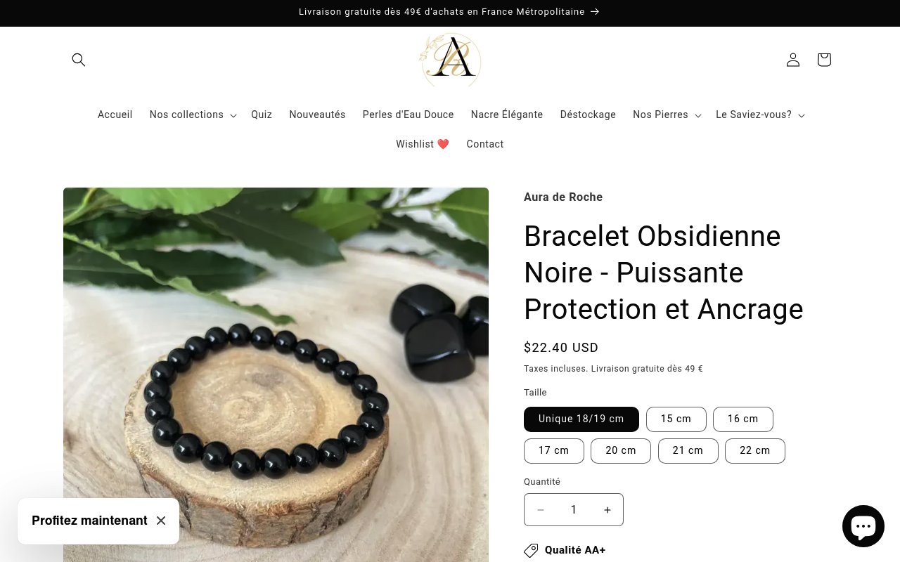 Apercu du site Aura de Roche